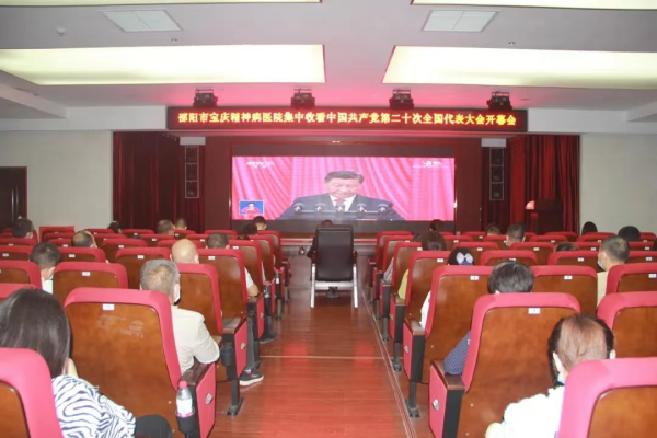 邵阳市宝庆精神病医院,邵阳诱发电位仪,ES型失眠治疗仪,500mAX光就机