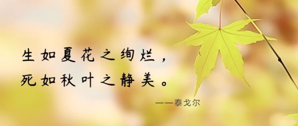 邵阳市宝庆精神病医院,邵阳诱发电位仪,ES型失眠治疗仪,500mAX光就机 邵阳市宝庆精神病医院,邵阳诱发电位仪,ES型失眠治疗仪,500mAX光就机