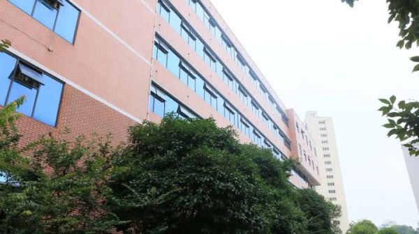 邵阳市宝庆精神病医院,邵阳诱发电位仪,ES型失眠治疗仪,500mAX光就机