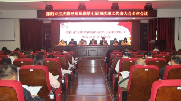 邵阳市宝庆精神病医院,邵阳诱发电位仪,ES型失眠治疗仪,500mAX光就机