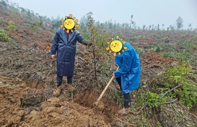 邵阳市宝庆精神病医院,邵阳诱发电位仪,ES型失眠治疗仪,500mAX光就机 邵阳市宝庆精神病医院,邵阳诱发电位仪,ES型失眠治疗仪,500mAX光就机