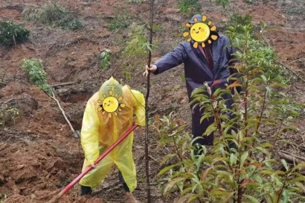 邵阳市宝庆精神病医院,邵阳诱发电位仪,ES型失眠治疗仪,500mAX光就机